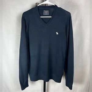 NWT Abercrombie And Fitch Icon V Neck Sweater Navy Blue M